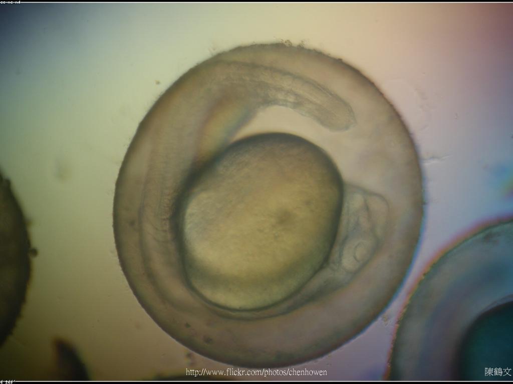 ការបង្កើតម៉ូដែលក្នុងវិស័យវិទ្យាសាស្ត្រទិន្នន័យ