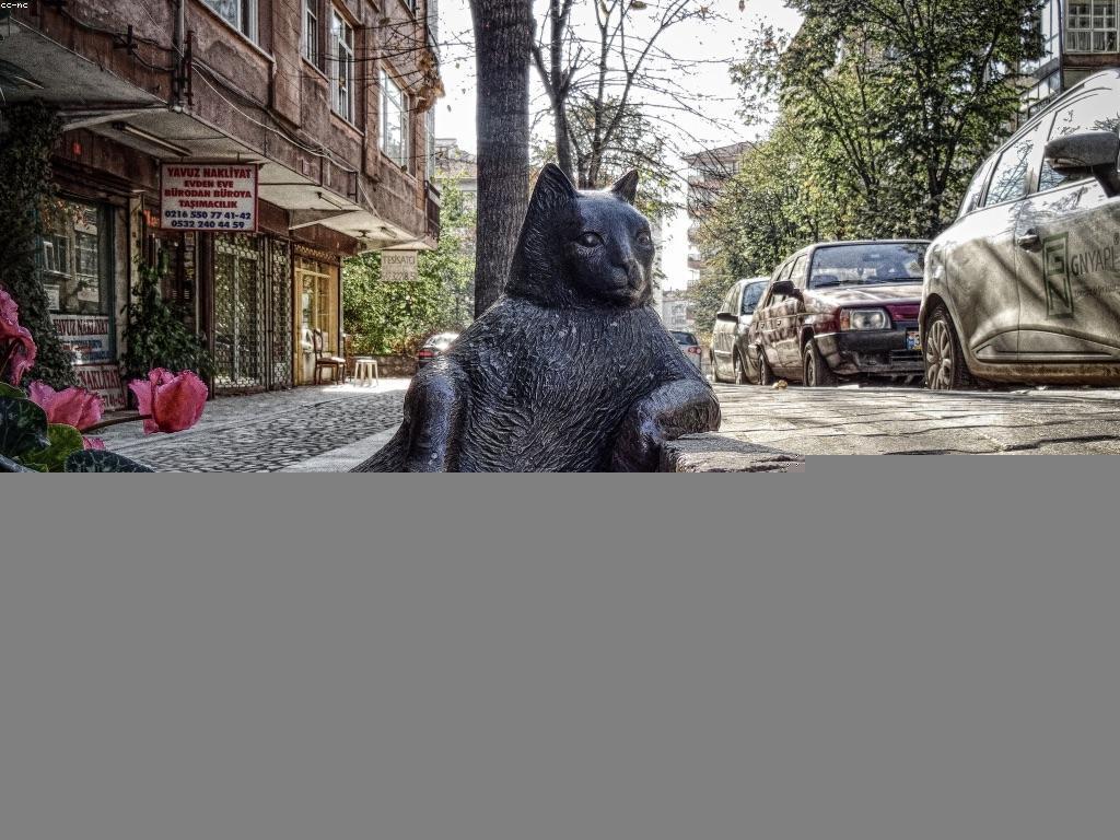 អត្ថប្រយោជន៍នៃការបង្កើតបណ្តាញ