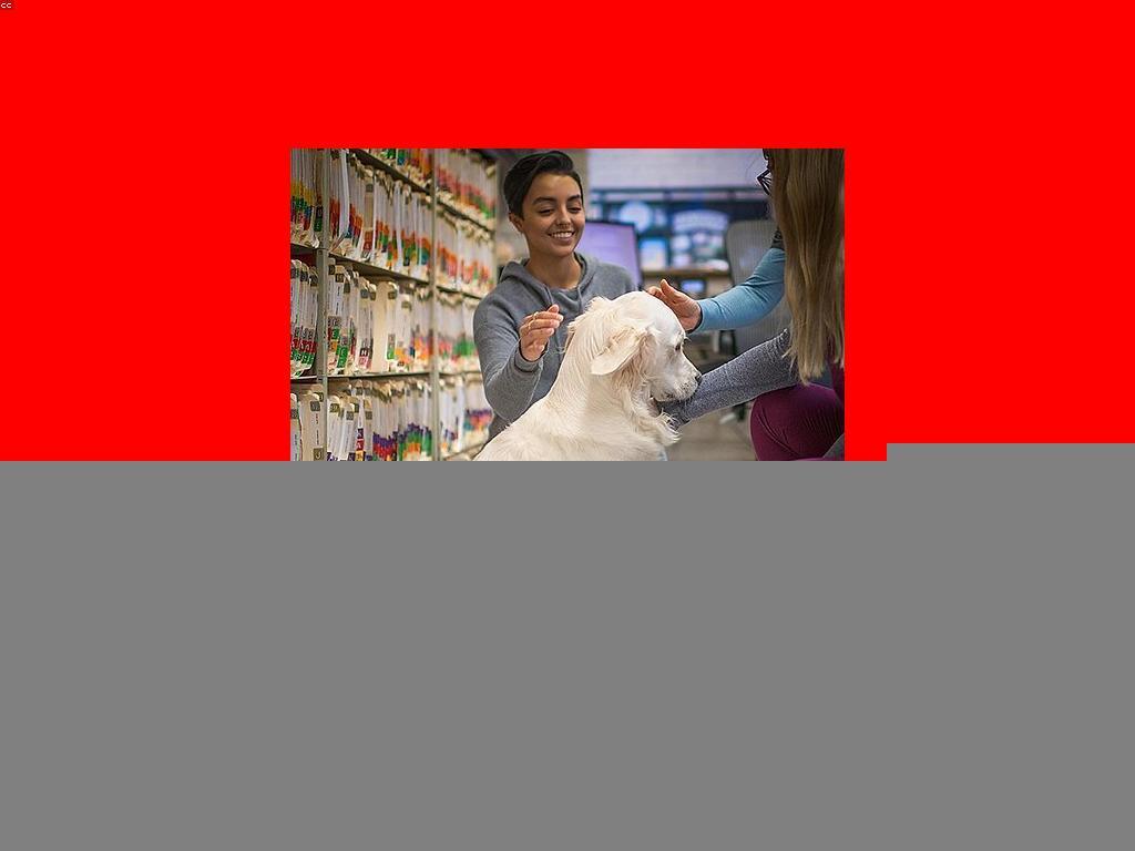 គន្លឹះសម្រាប់ការរចនាគេហទំព័រ