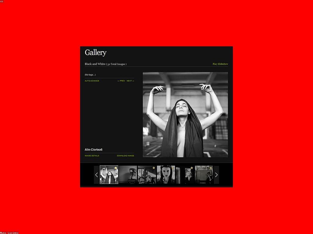 ការយល់ដឹងអំពីការបង្កើតបណ្តាញ